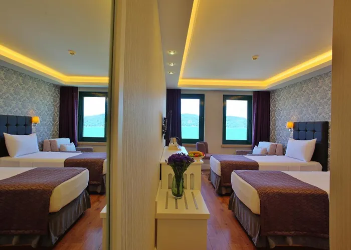 Ve Bogazici Hotell 3*